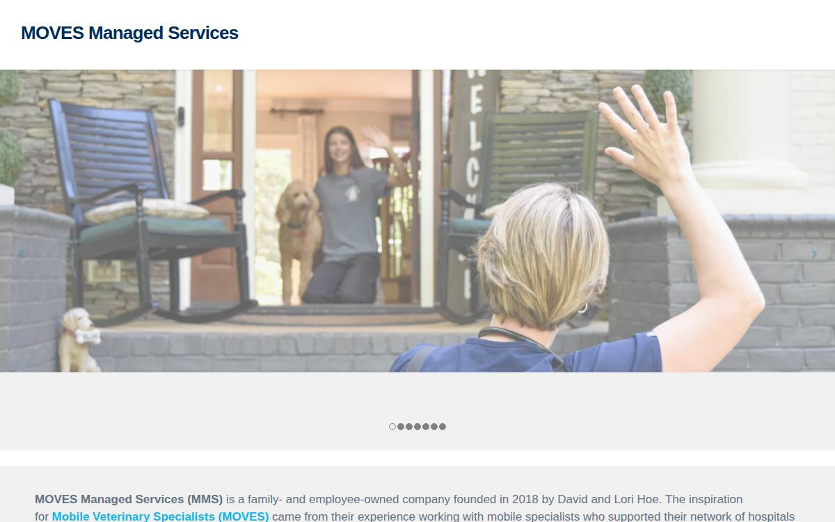 MOVES Managed Services website preview