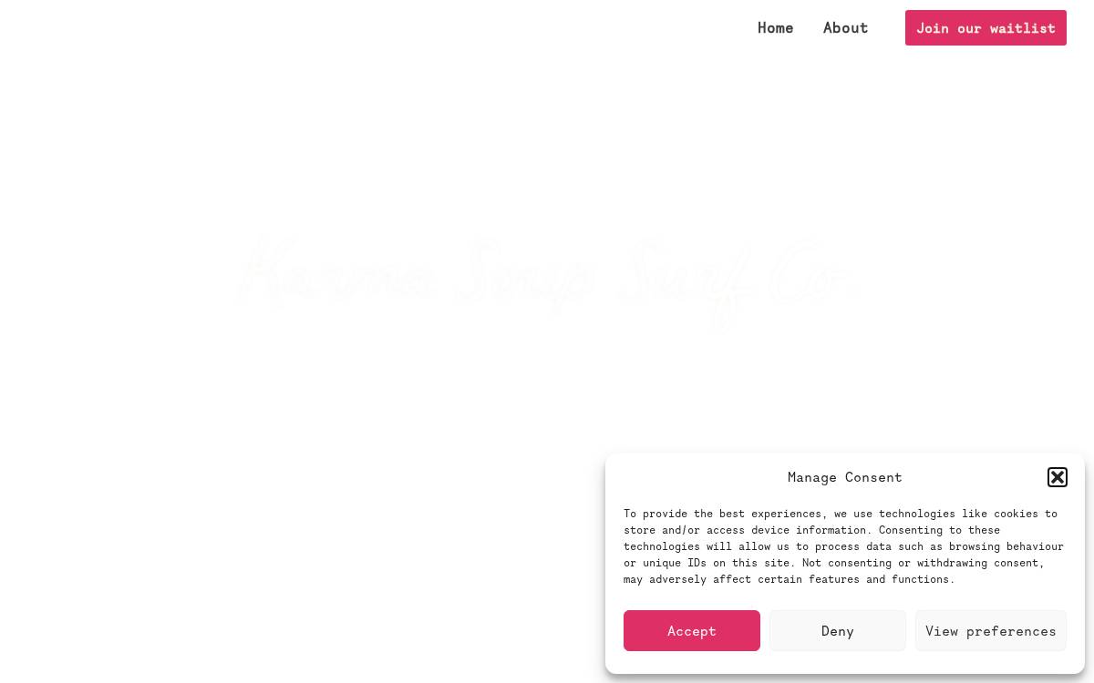 Moxiesurf website preview