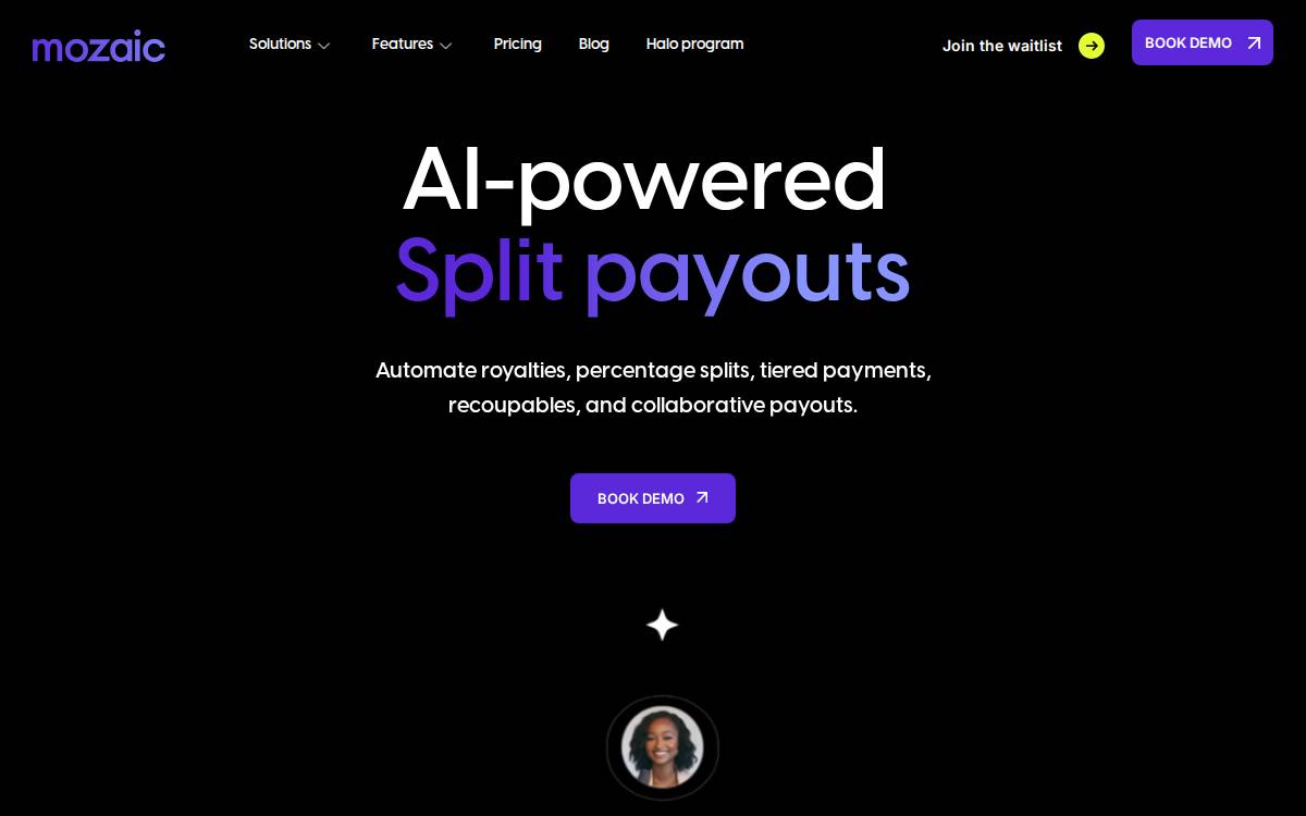 Mozaic Payments website preview