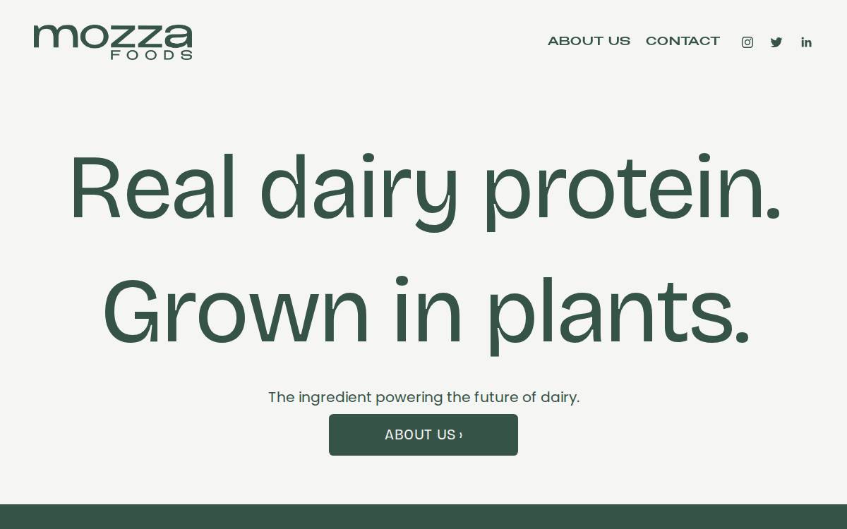 Mozza website preview