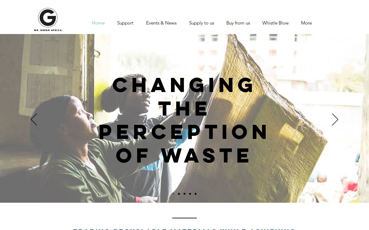 Mrgreenafrica website preview