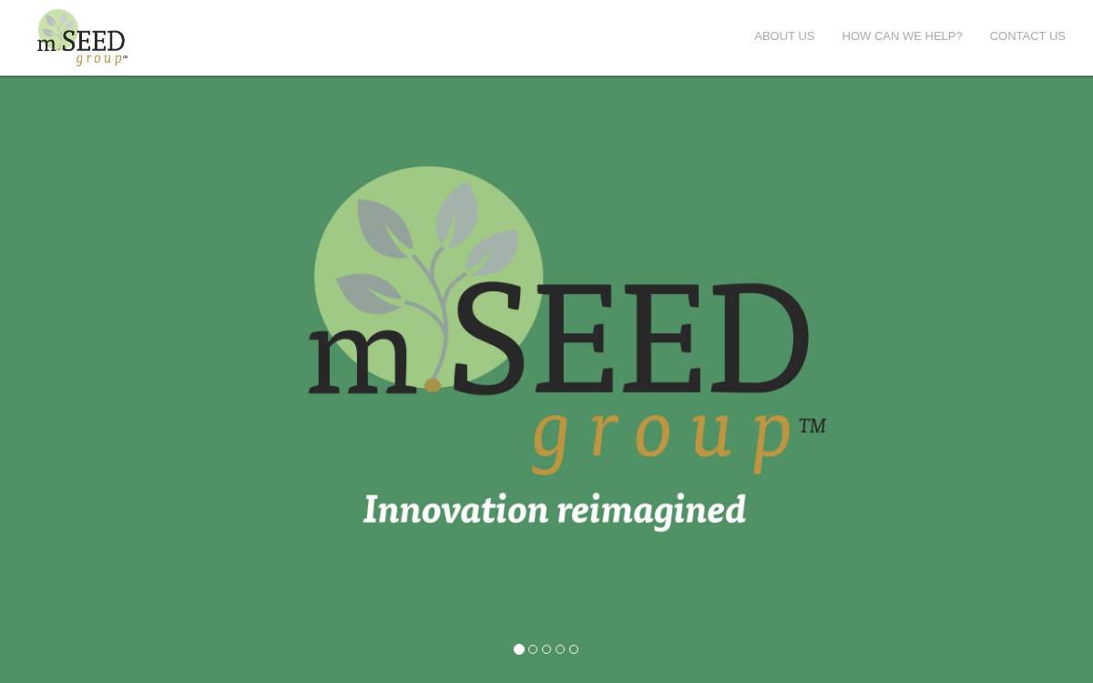 mSeed Group website preview