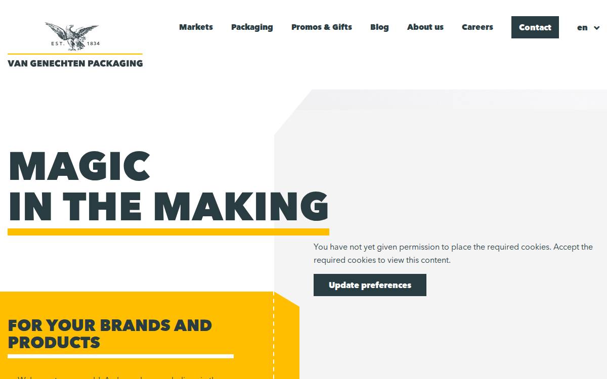 MSO website preview