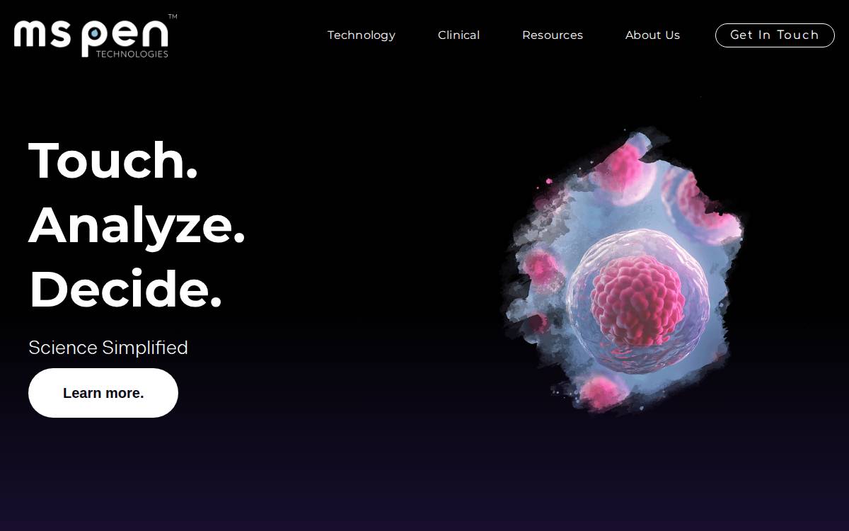 Mspentechnologies website preview