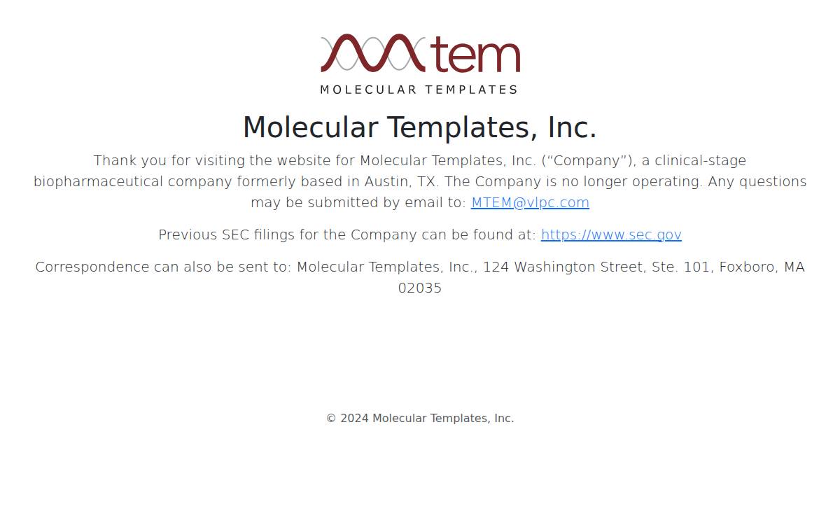 Mtem website preview
