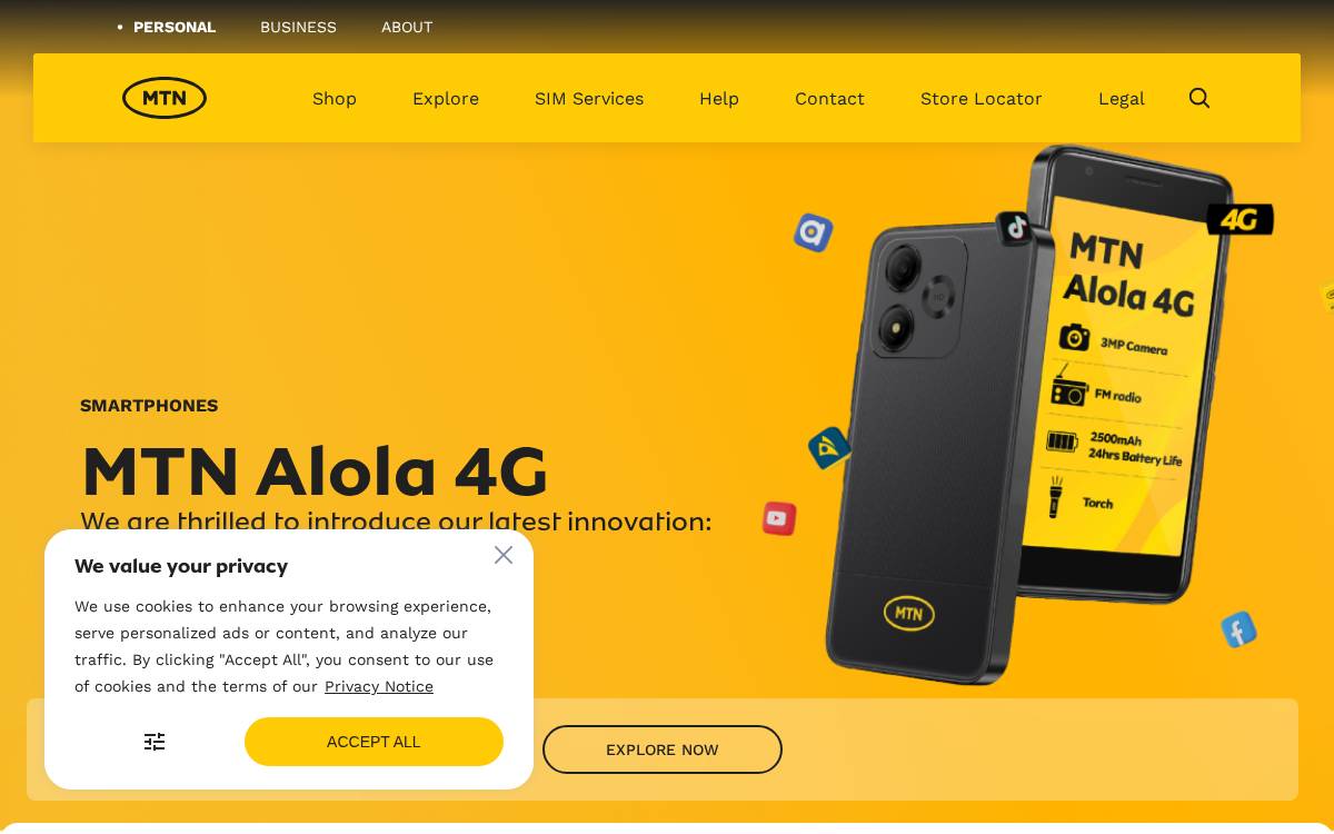 MTN website preview
