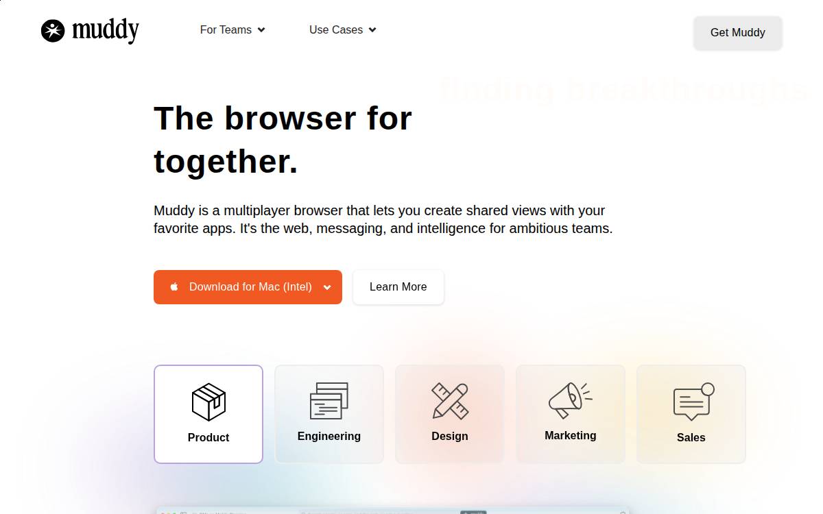 Muddy website preview