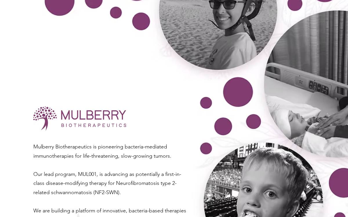 Mulberry Biotherapeutics website preview
