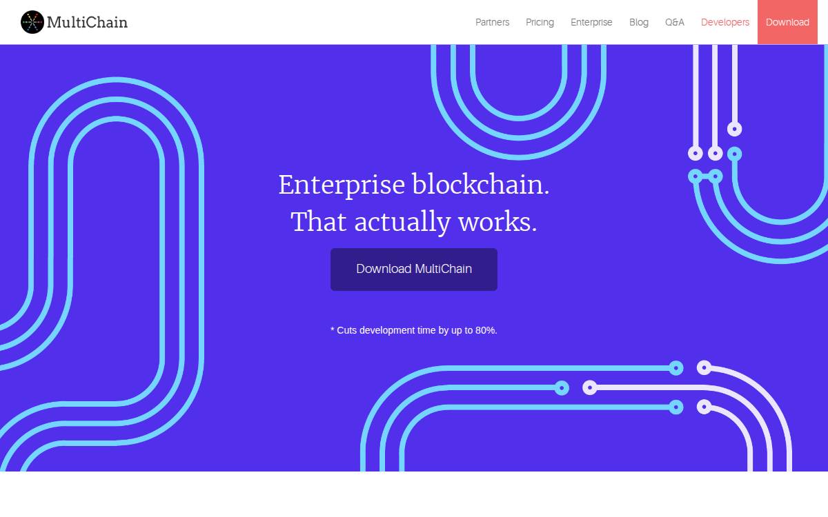 Multichain website preview