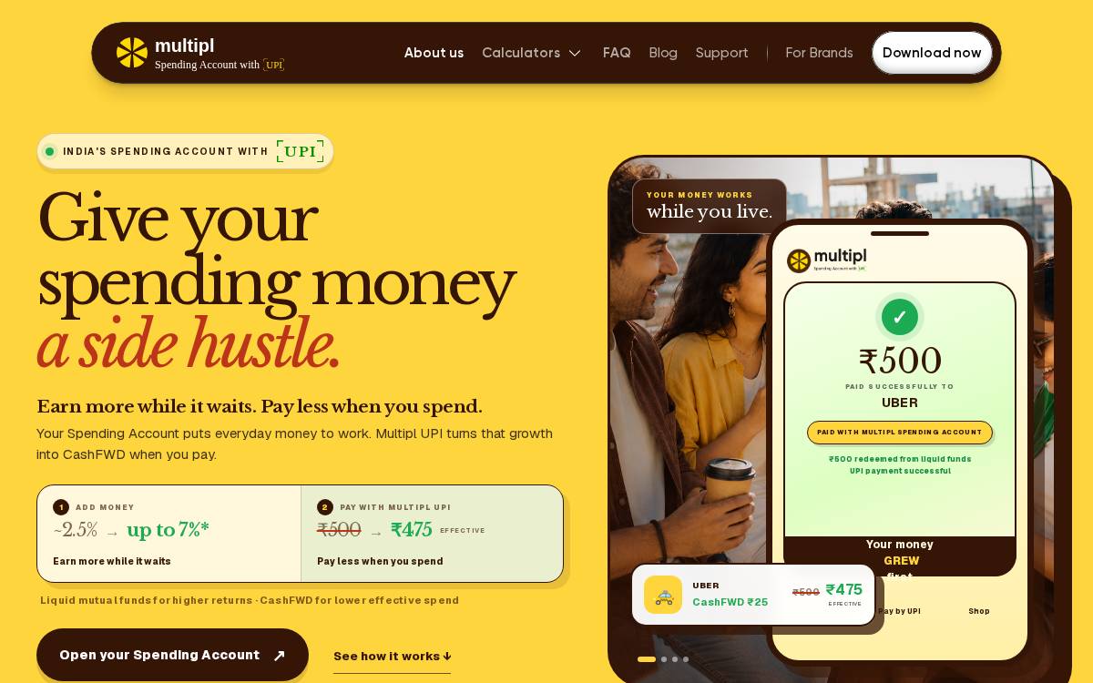 Multipl website preview