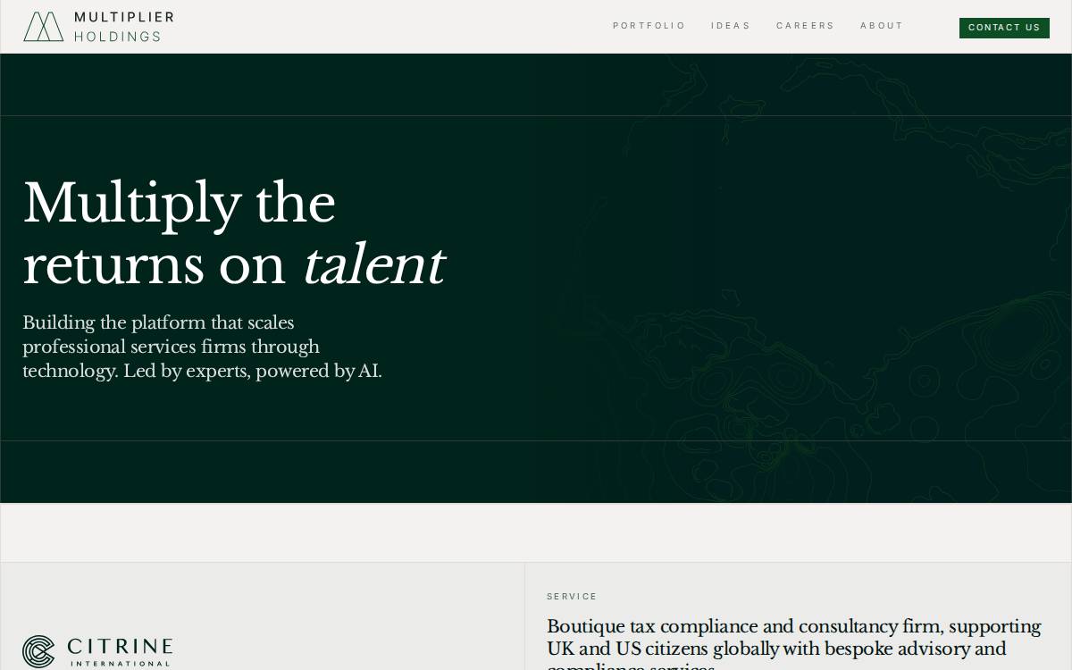 Multiplierholdings website preview