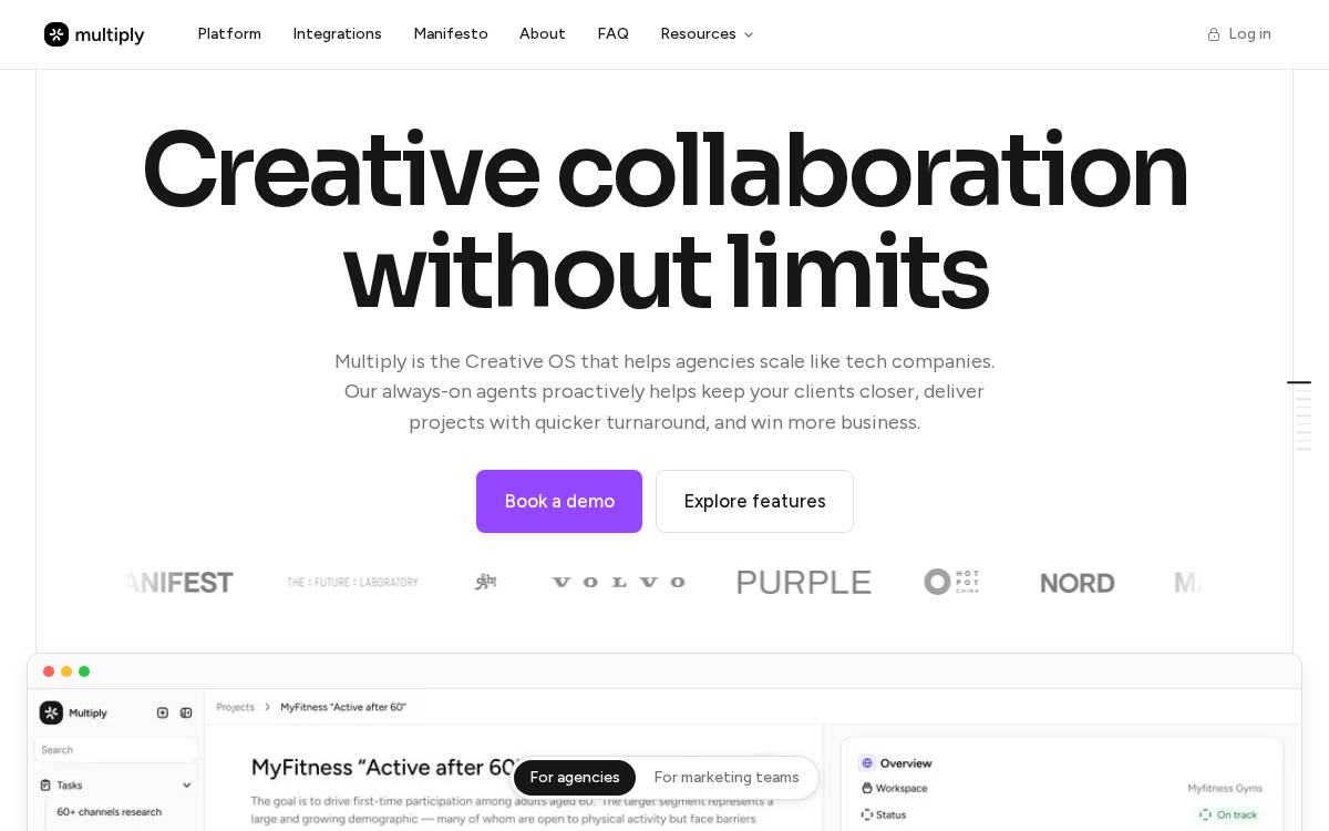 Multiply website preview