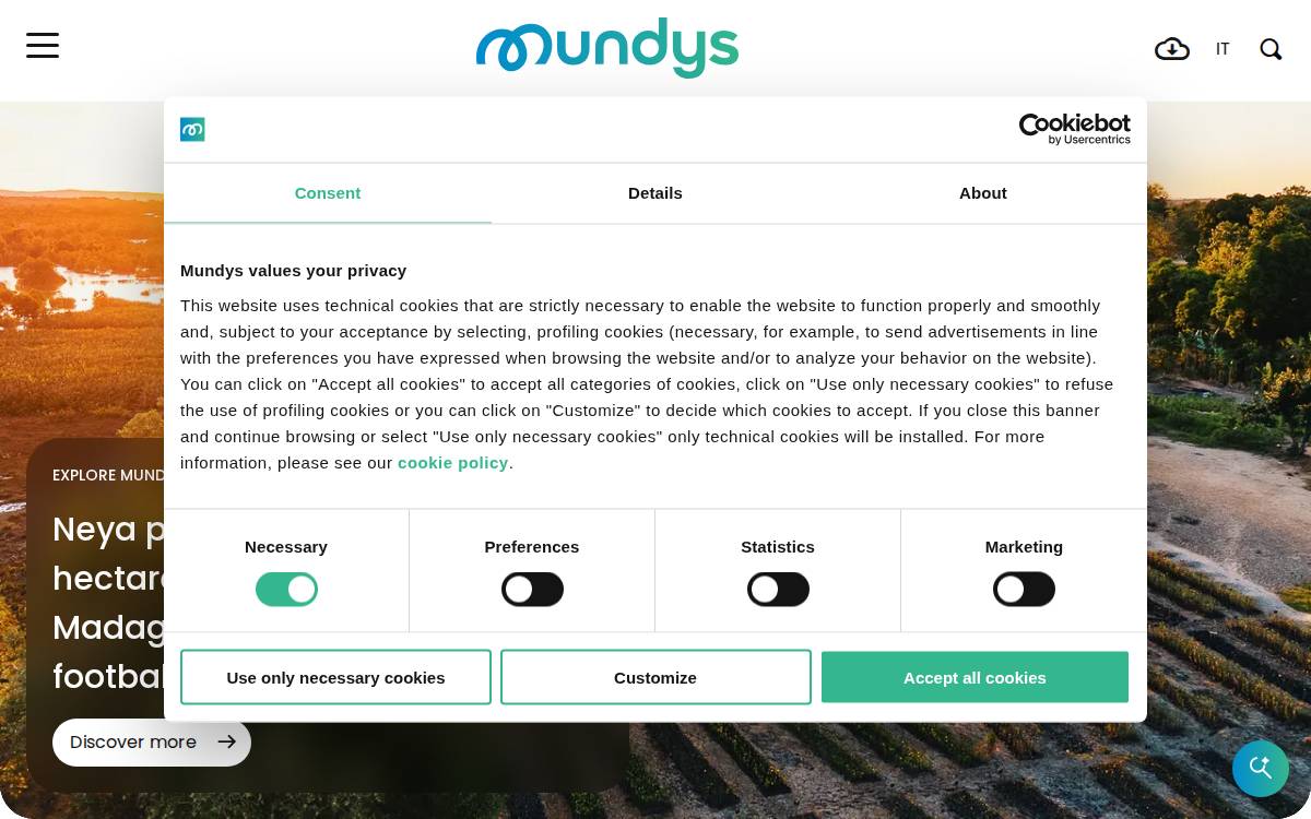 Mundys website preview