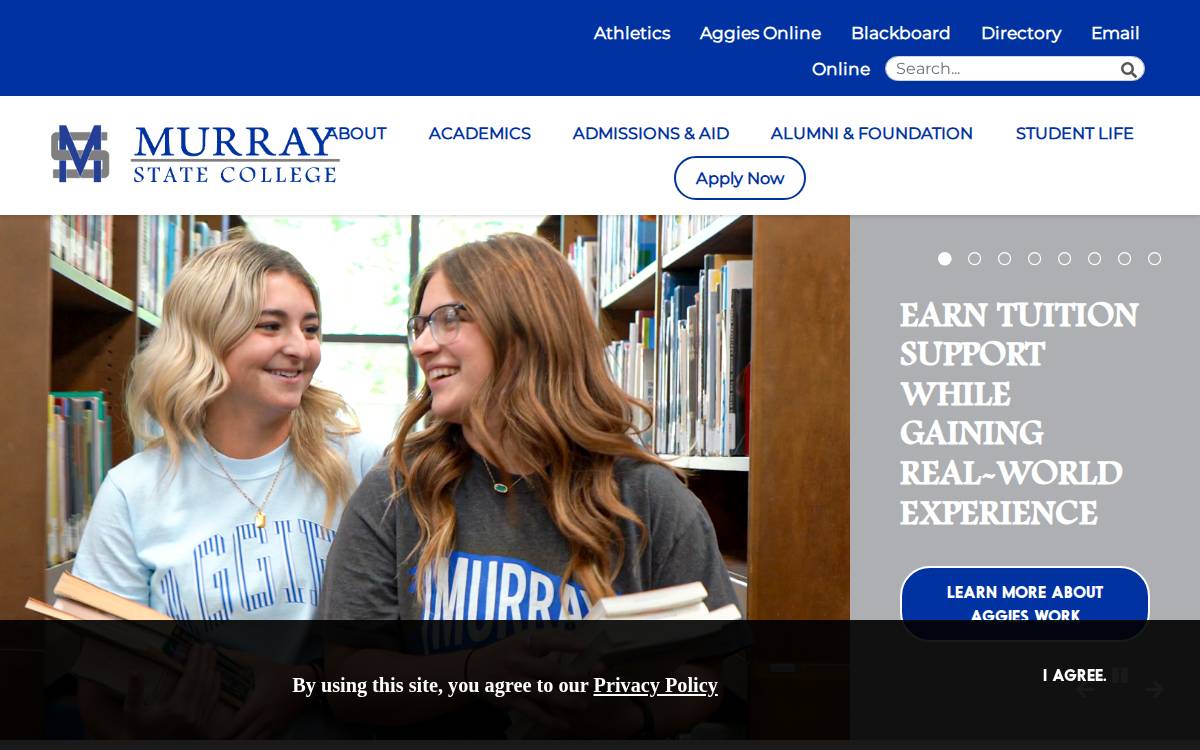 Murray State College website preview