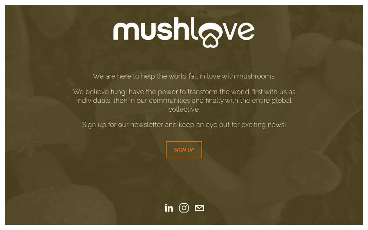 Mushlove website preview