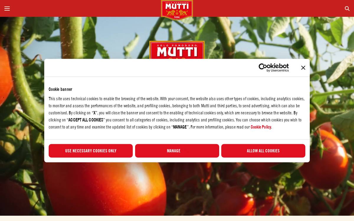 Mutti website preview