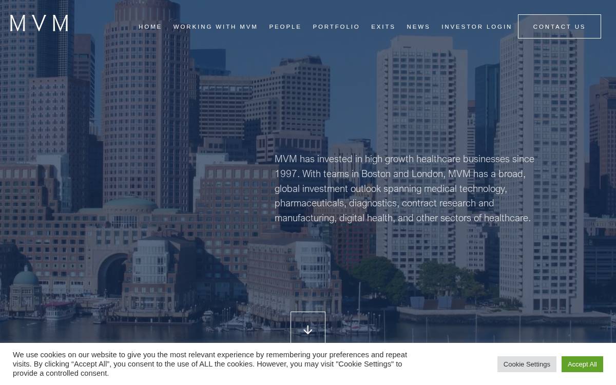 Mvm website preview