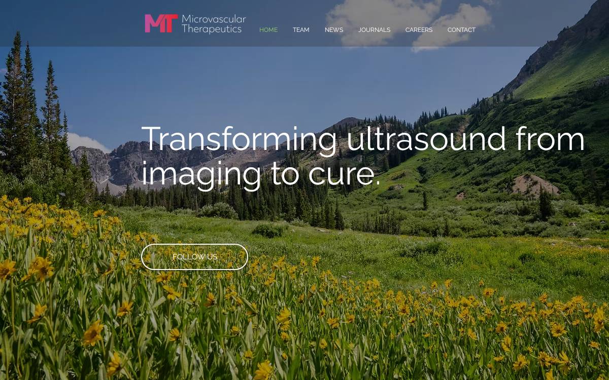 Mvtpharma website preview
