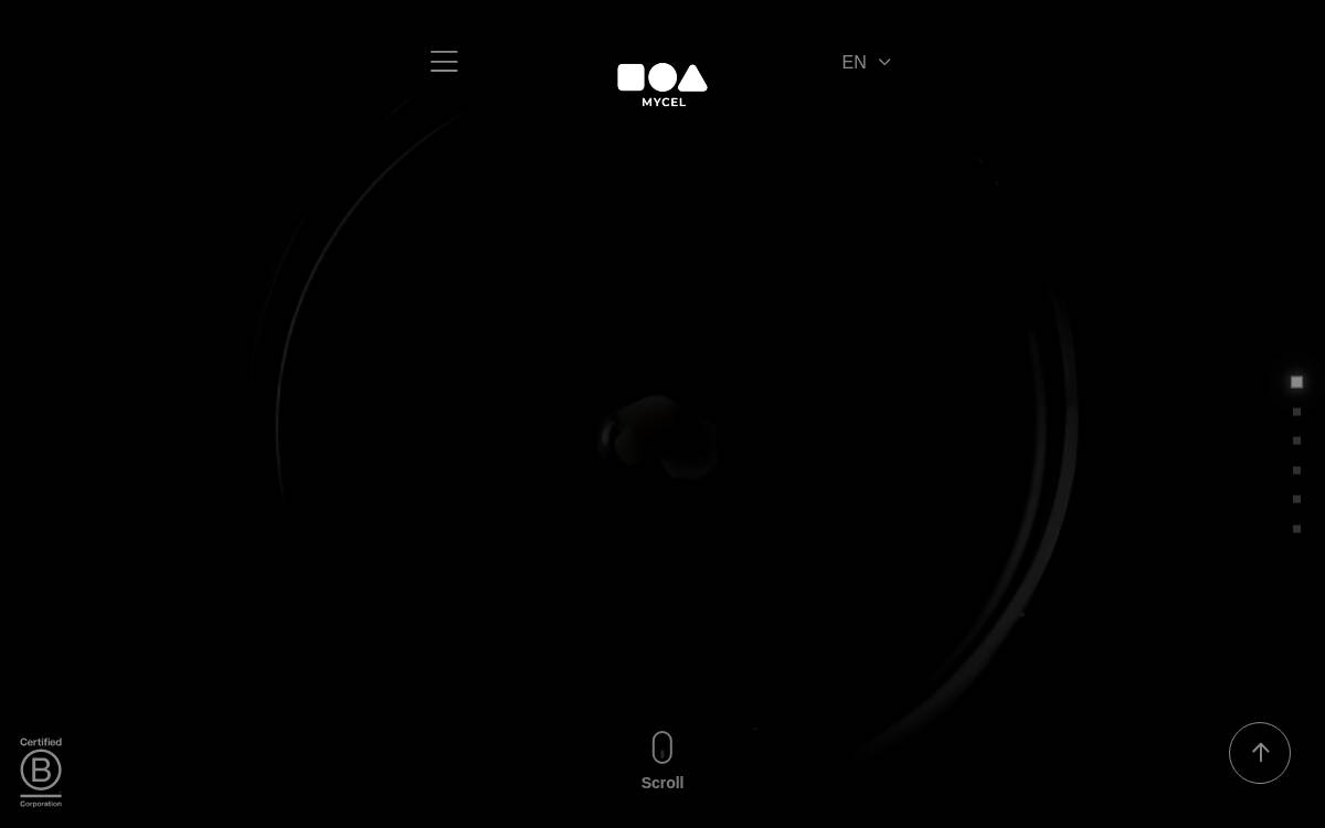 Mycel website preview
