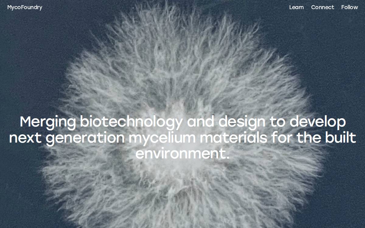 MycoFoundry website preview
