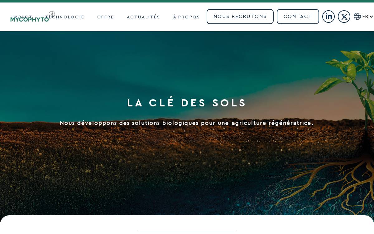 Mycophyto website preview