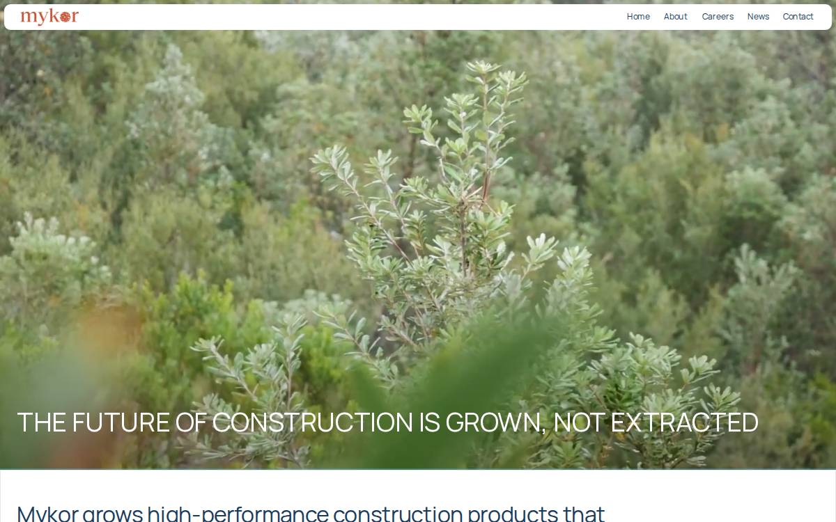 Mykor website preview