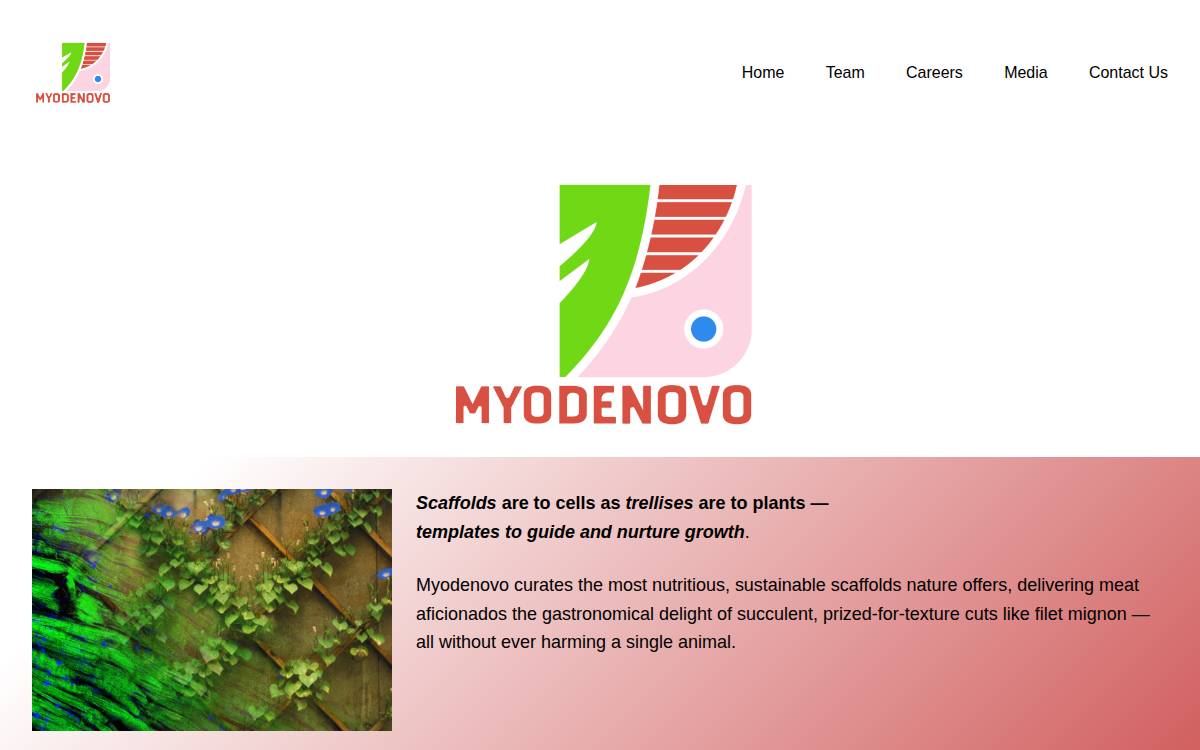 Myodenovo website preview