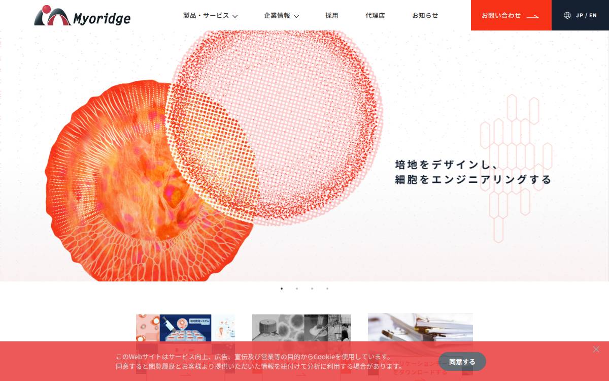 Myoridge website preview