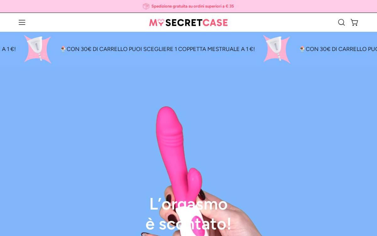 MySecretCase website preview