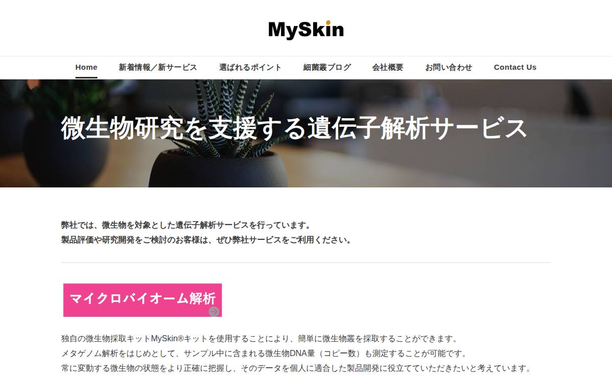 MySkin株式会社 website preview