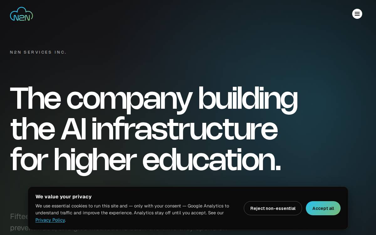 N2N website preview