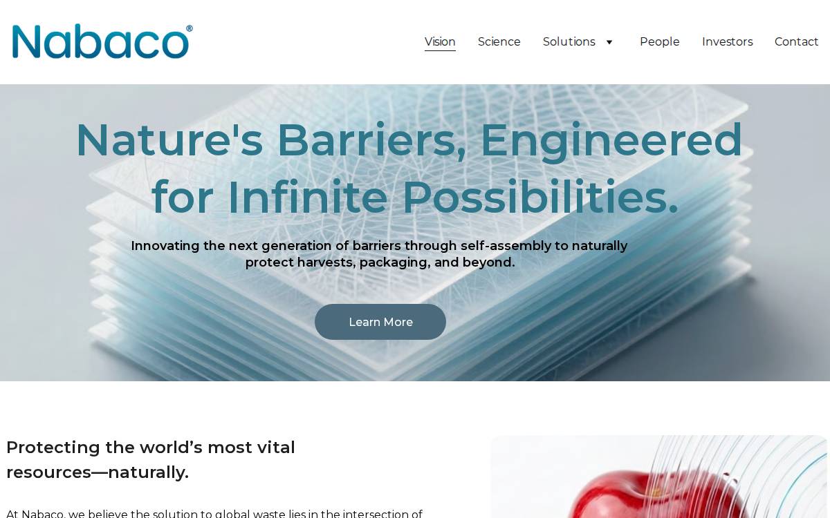 Nabaco website preview