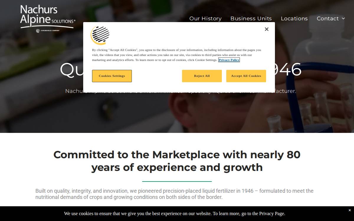 Nachurs Alpine Solutions website preview