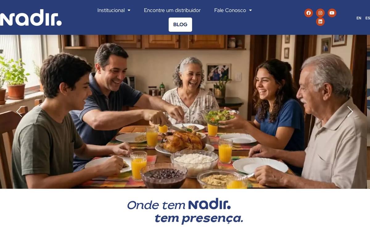 Nadir Figueiredo website preview