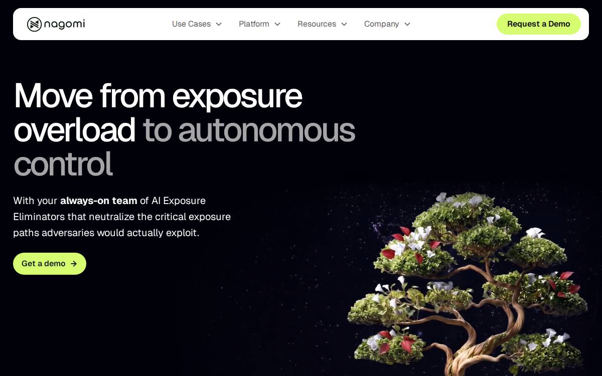 Nagomi Security website preview