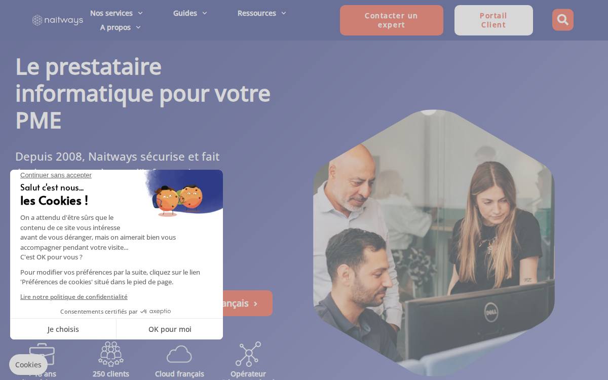 Naitways website preview