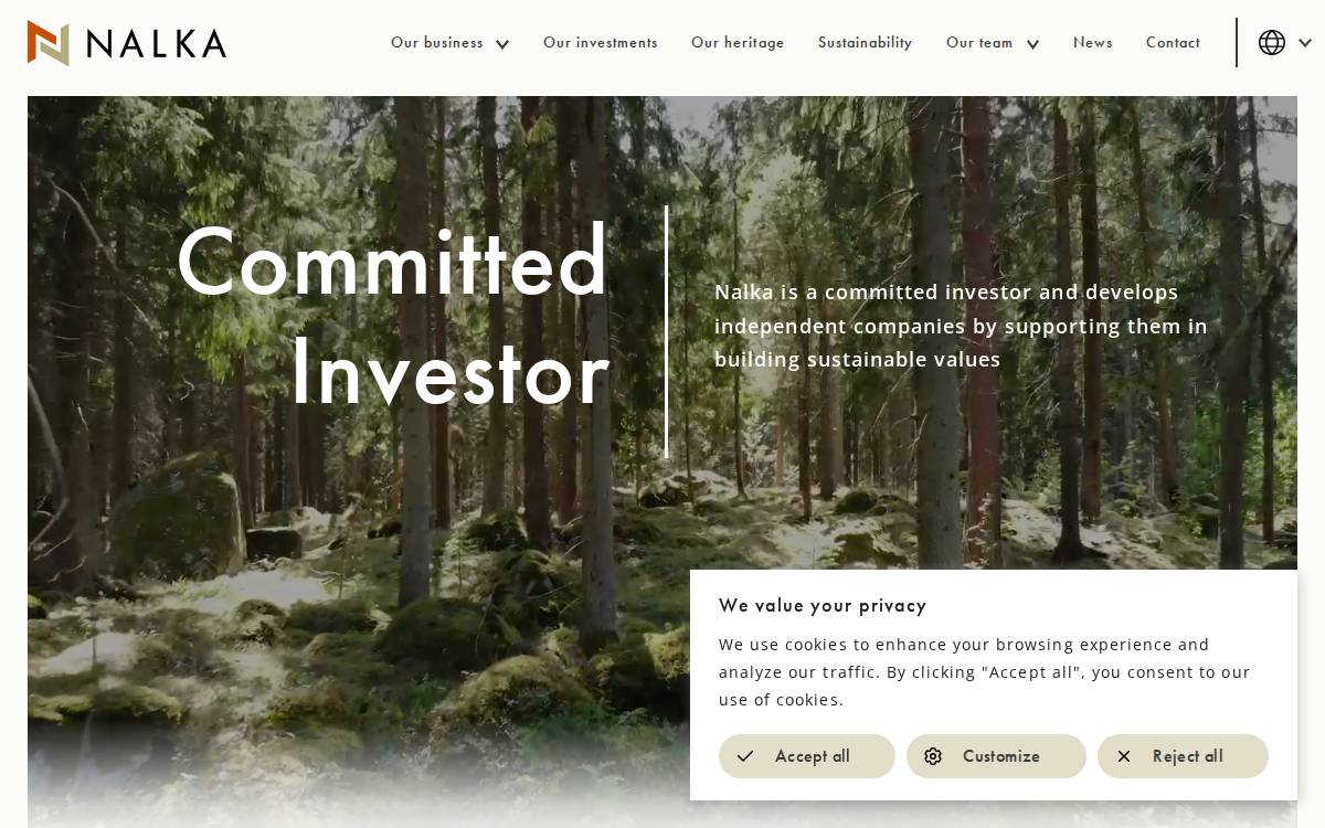 Nalka Invest website preview