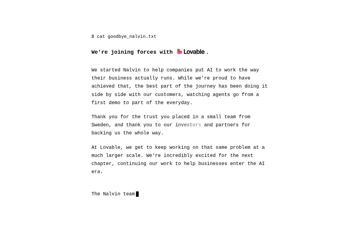 Nalvin website preview