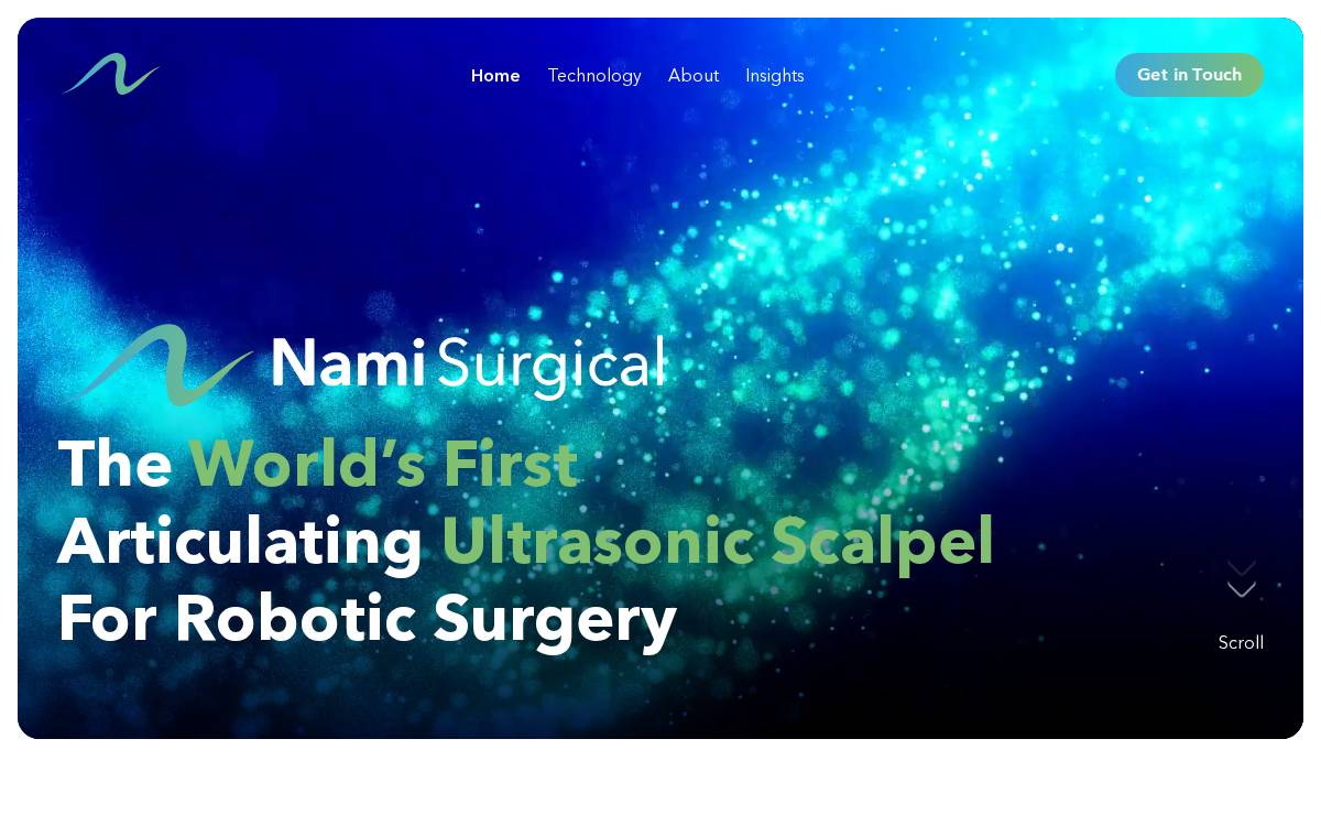 Nami Surgical website preview