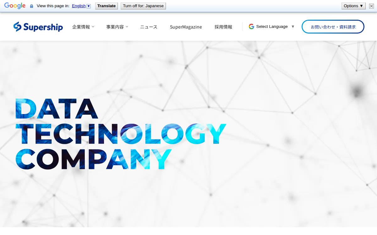 nanapi, Inc website preview