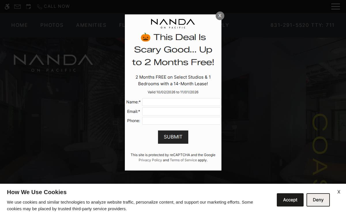 Nandaonpacific website preview