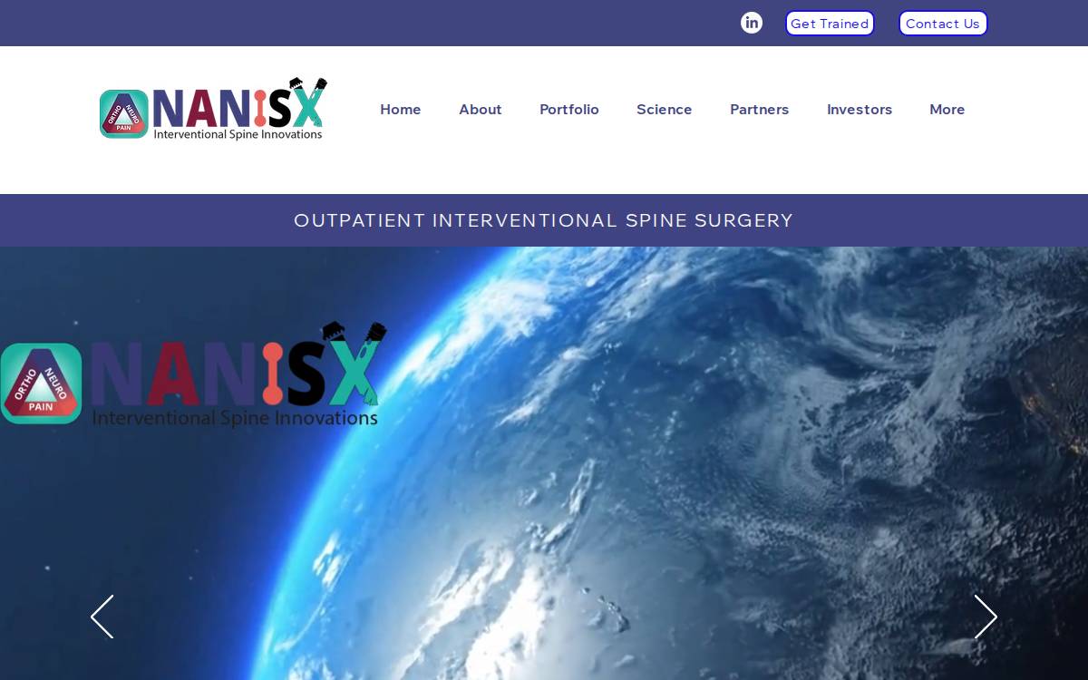 Nanisx website preview