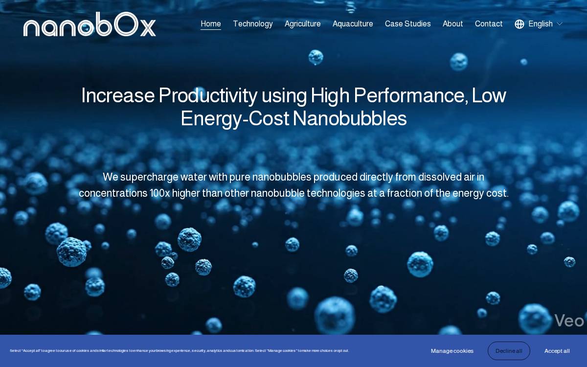 Nanobox website preview