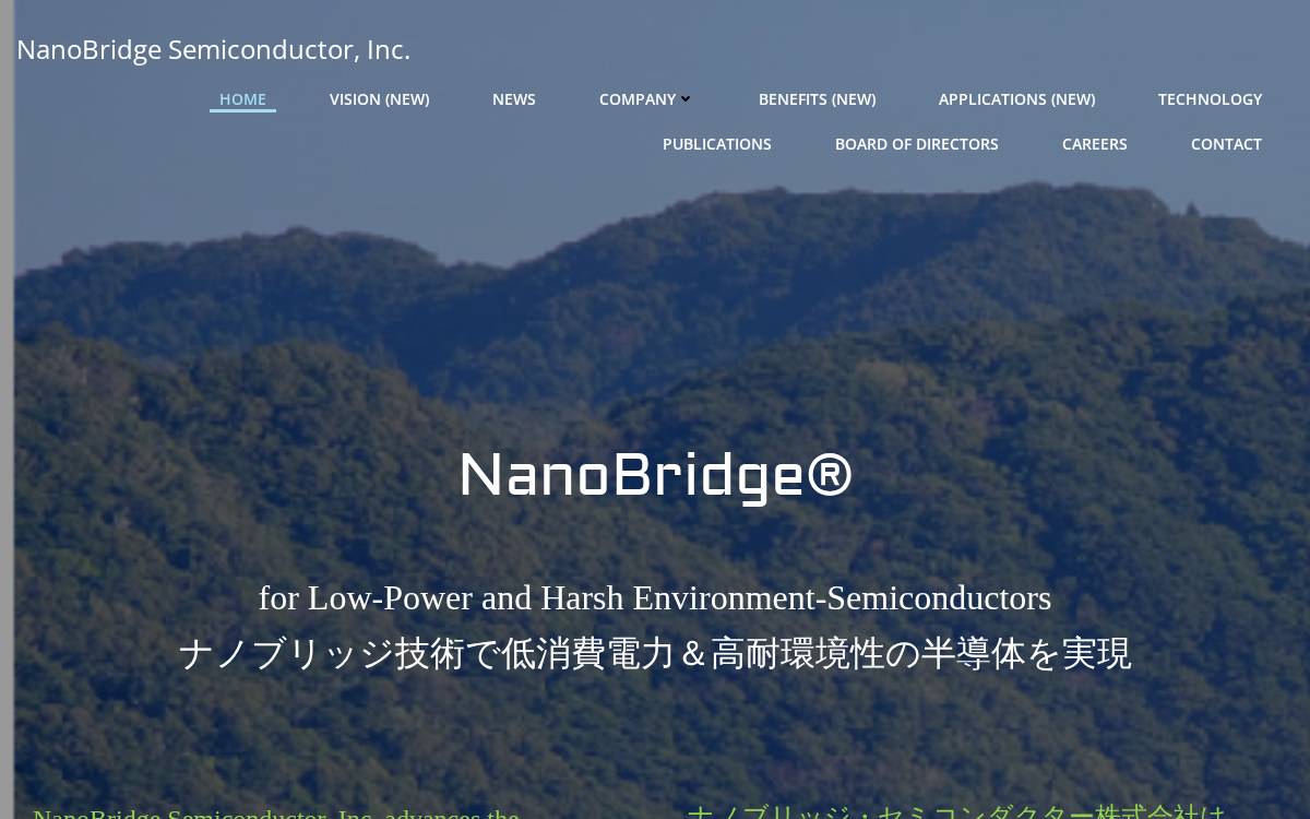 Nanobridgesemi website preview