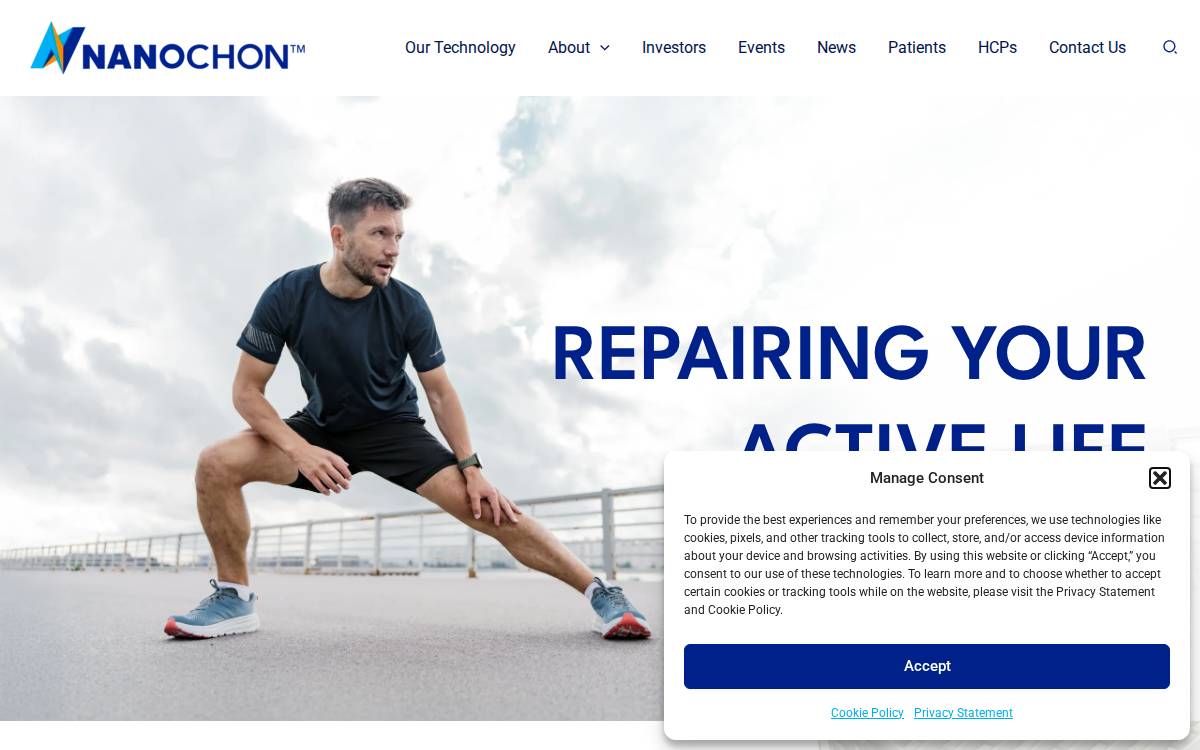 Nanochon website preview