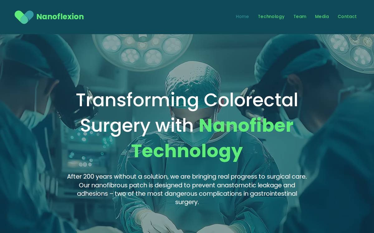Nanoflexion website preview