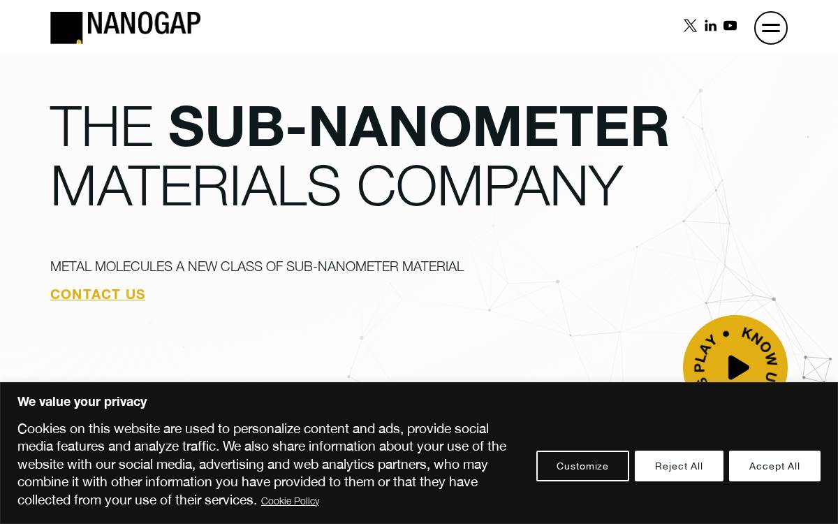 Nanogap website preview
