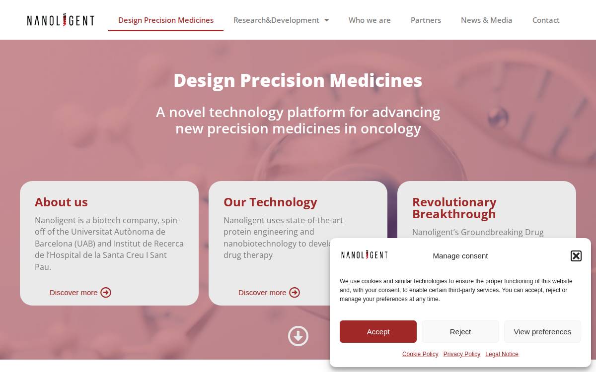 Nanoligent website preview