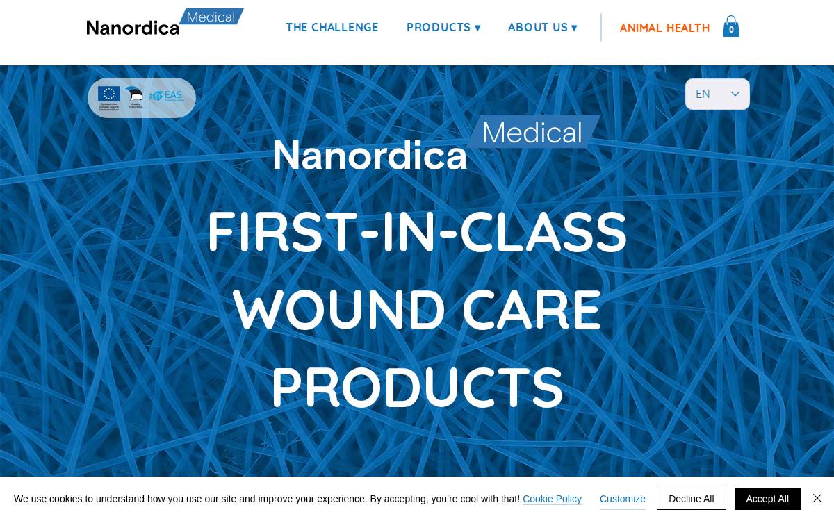 Nanordica website preview