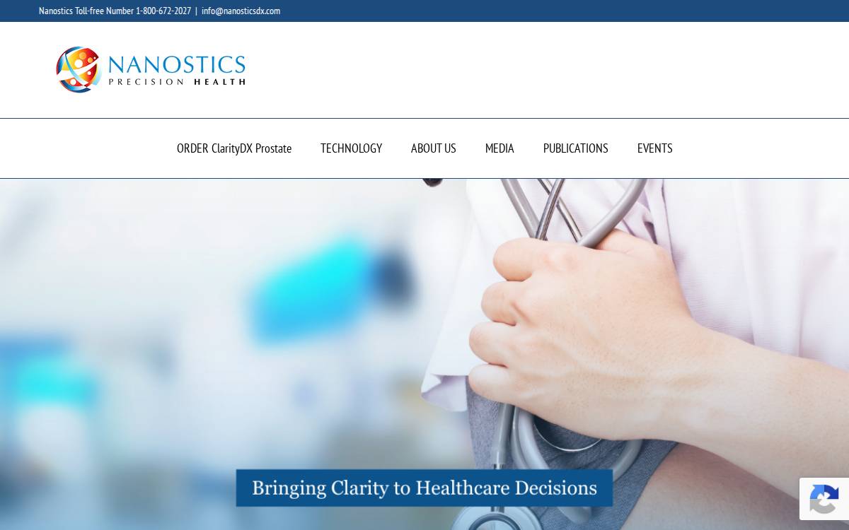NanoStics website preview